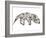 Anteater-Louise Tate-Framed Giclee Print