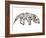 Anteater-Louise Tate-Framed Giclee Print