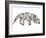 Anteater-Louise Tate-Framed Giclee Print