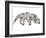 Anteater-Louise Tate-Framed Giclee Print