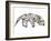 Anteater-Louise Tate-Framed Giclee Print