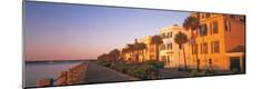 Premium Photographic Print