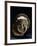 Antefix Depicting Mask of Silenus, Terracotta, from Ciro Marina, Calabria, Italy-null-Framed Giclee Print