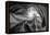 Antelope Canyon 2 Light-Moises Levy-Framed Premier Image Canvas