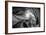 Antelope Canyon 2 Light-Moises Levy-Framed Photographic Print