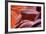 Antelope Canyon Abstract - Tri Color-Vincent James-Framed Photographic Print