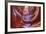 Antelope Canyon, Navajo Tribal Park, Arizona, USA-Charles Gurche-Framed Photographic Print