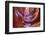 Antelope Canyon, Navajo Tribal Park, Arizona, USA-Charles Gurche-Framed Photographic Print