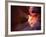 Antelope Canyon, Page, Arizona, USA-Lee Frost-Framed Photographic Print