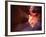 Antelope Canyon, Page, Arizona, USA-Lee Frost-Framed Photographic Print