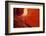 Antelope Canyon, Page, Arizona-Paul Souders-Framed Photographic Print