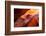 Antelope Canyon, Page, Arizona-Paul Souders-Framed Photographic Print