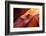 Antelope Canyon, Page, Arizona-Paul Souders-Framed Photographic Print