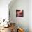 Antelope Canyon-Micha Pawlitzki-Photographic Print displayed on a wall