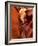 Antelope Canyon-Matt York-Framed Photographic Print