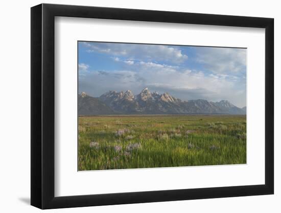 Antelope Flats, Grand Teton National Park-Alan Majchrowicz-Framed Photographic Print