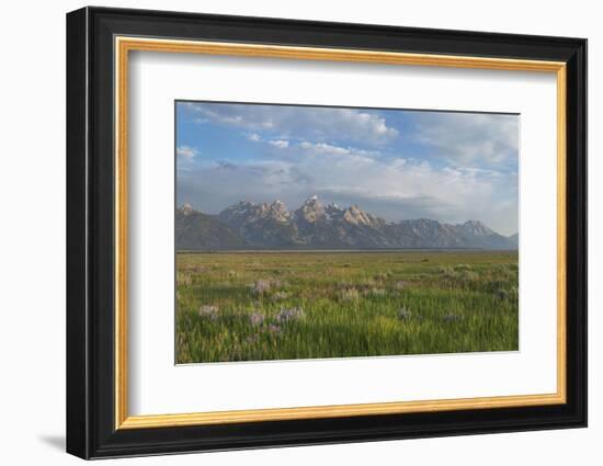 Antelope Flats, Grand Teton National Park-Alan Majchrowicz-Framed Photographic Print