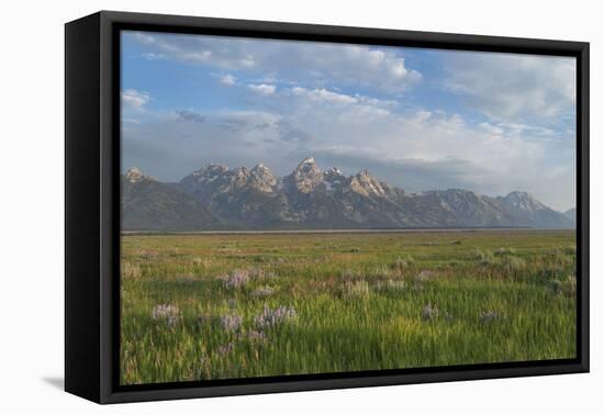 Antelope Flats, Grand Teton National Park-Alan Majchrowicz-Framed Premier Image Canvas