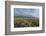 Antelope Flats lupines and sagebrush. Grand Teton National Park-Alan Majchrowicz-Framed Photographic Print