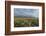 Antelope Flats lupines and sagebrush. Grand Teton National Park-Alan Majchrowicz-Framed Photographic Print