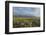 Antelope Flats lupines and sagebrush. Grand Teton National Park-Alan Majchrowicz-Framed Photographic Print