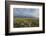 Antelope Flats lupines and sagebrush. Grand Teton National Park-Alan Majchrowicz-Framed Photographic Print