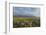 Antelope Flats lupines and sagebrush. Grand Teton National Park-Alan Majchrowicz-Framed Photographic Print