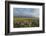 Antelope Flats lupines and sagebrush. Grand Teton National Park-Alan Majchrowicz-Framed Photographic Print