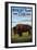 Antelope Island, Utah - Bison Scene-Lantern Press-Framed Art Print