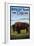 Antelope Island, Utah - Bison Scene-Lantern Press-Framed Premium Giclee Print