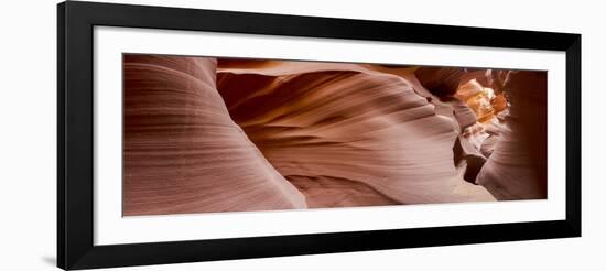 Antelope Panorama 1-Moises Levy-Framed Photographic Print