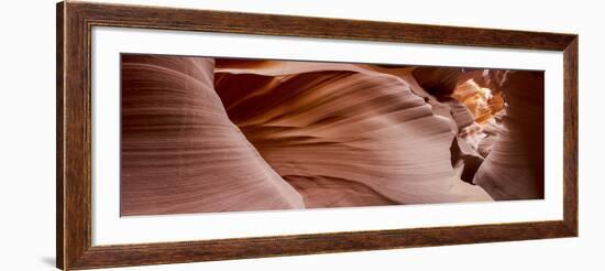 Antelope Panorama 1-Moises Levy-Framed Photographic Print