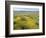 Antelope Valley Poppy Reserve, California, USA-Ethel Davies-Framed Photographic Print