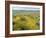 Antelope Valley Poppy Reserve, California, USA-Ethel Davies-Framed Photographic Print