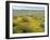 Antelope Valley Poppy Reserve, California, USA-Ethel Davies-Framed Photographic Print