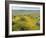 Antelope Valley Poppy Reserve, California, USA-Ethel Davies-Framed Photographic Print