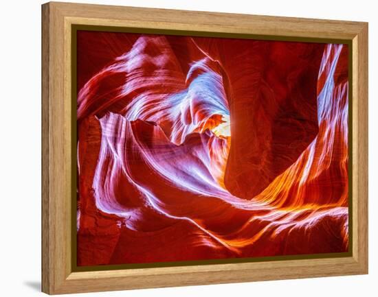 Antelope Wave-Marco Carmassi-Framed Premier Image Canvas