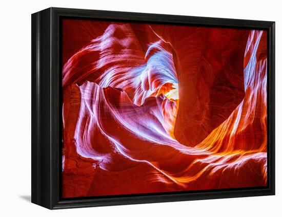 Antelope Wave-Marco Carmassi-Framed Premier Image Canvas