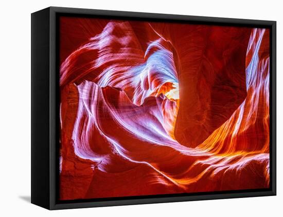 Antelope Wave-Marco Carmassi-Framed Premier Image Canvas