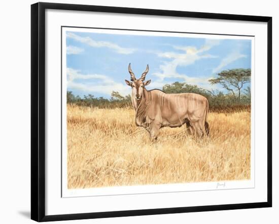 Antelope-Joseph Vance-Framed Collectable Print