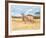 Antelope-Joseph Vance-Framed Collectable Print