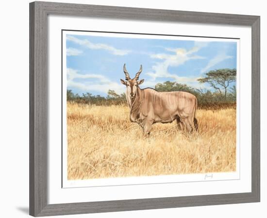 Antelope-Joseph Vance-Framed Collectable Print