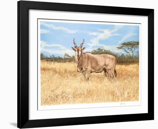 Antelope-Joseph Vance-Framed Collectable Print