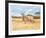 Antelope-Joseph Vance-Framed Collectable Print