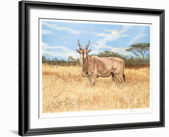 Antelope-Joseph Vance-Framed Collectable Print