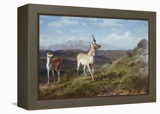 Antelope-Albert Bierstadt-Framed Premier Image Canvas