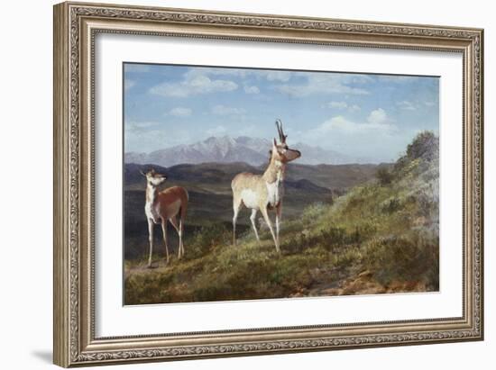 Antelope-Albert Bierstadt-Framed Giclee Print