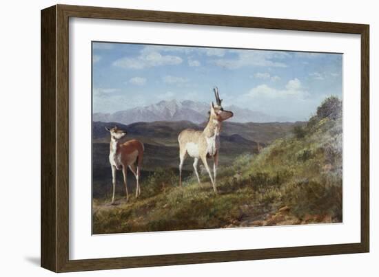 Antelope-Albert Bierstadt-Framed Giclee Print