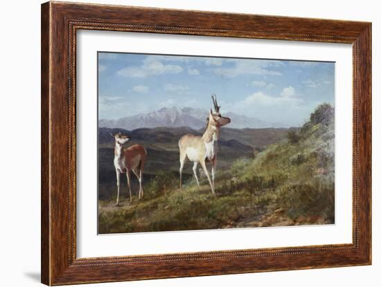 Antelope-Albert Bierstadt-Framed Giclee Print