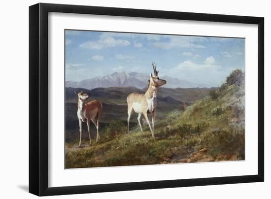 Antelope-Albert Bierstadt-Framed Giclee Print